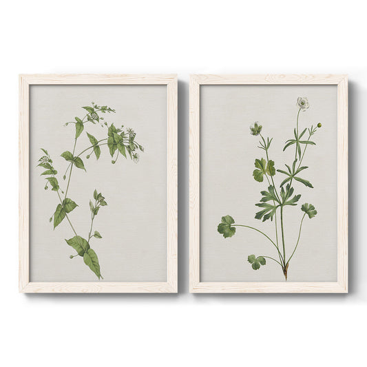 Set of two white barnwood framed canvas prints featuring two rustic minimalist botanical studies featuring delicate wildflower and leafy stems.