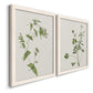 Angled view of a set of two white barnwood framed canvas prints featuring two rustic minimalist botanical studies featuring delicate wildflower and leafy stems.