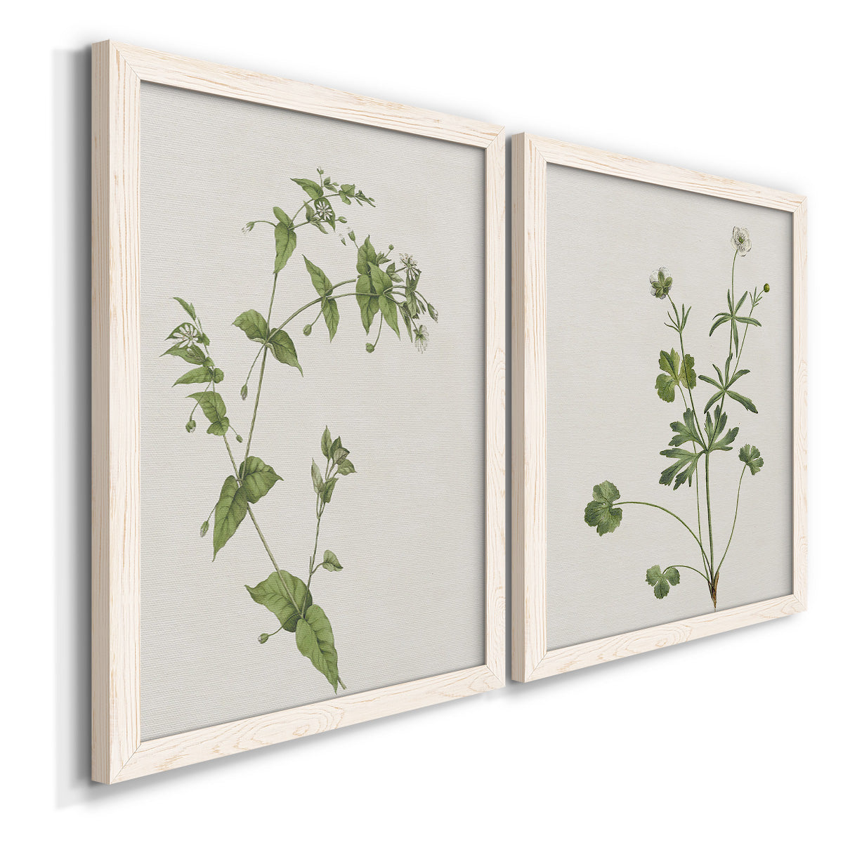 Angled view of a set of two white barnwood framed canvas prints featuring two rustic minimalist botanical studies featuring delicate wildflower and leafy stems.