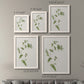 Size comparison chart for a set of two white barnwood framed canvas prints.