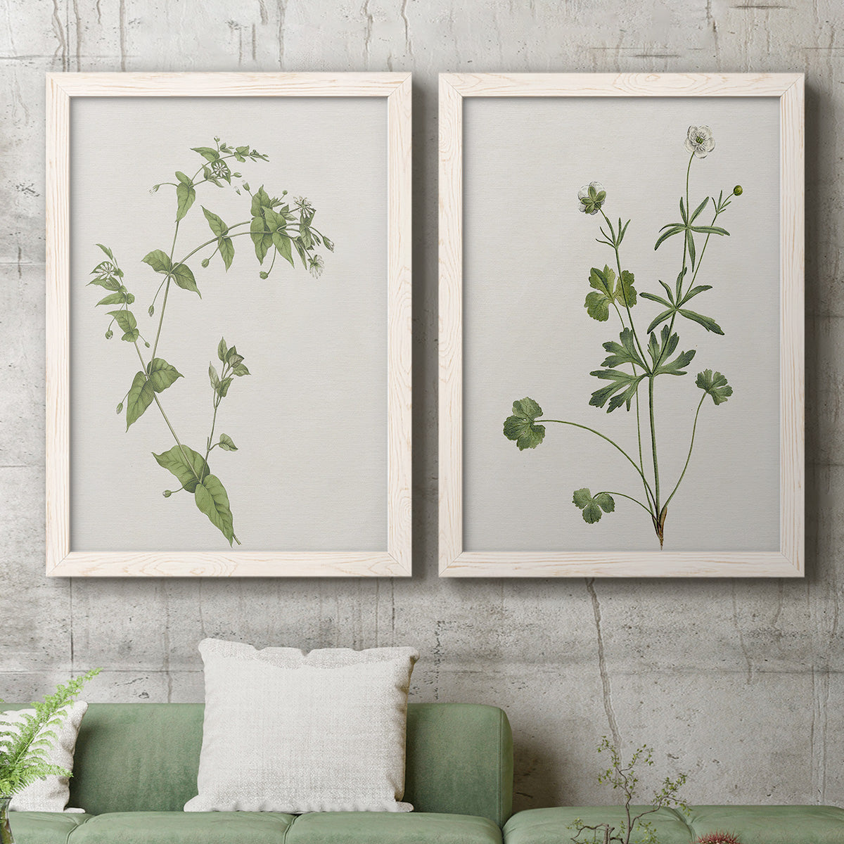 Set of two white barnwood framed canvas prints depicting a coordinated art pair of delicate wildflower and leafy stems rendered as rustic minimalist botanical studies above a sofa in a modern living room.