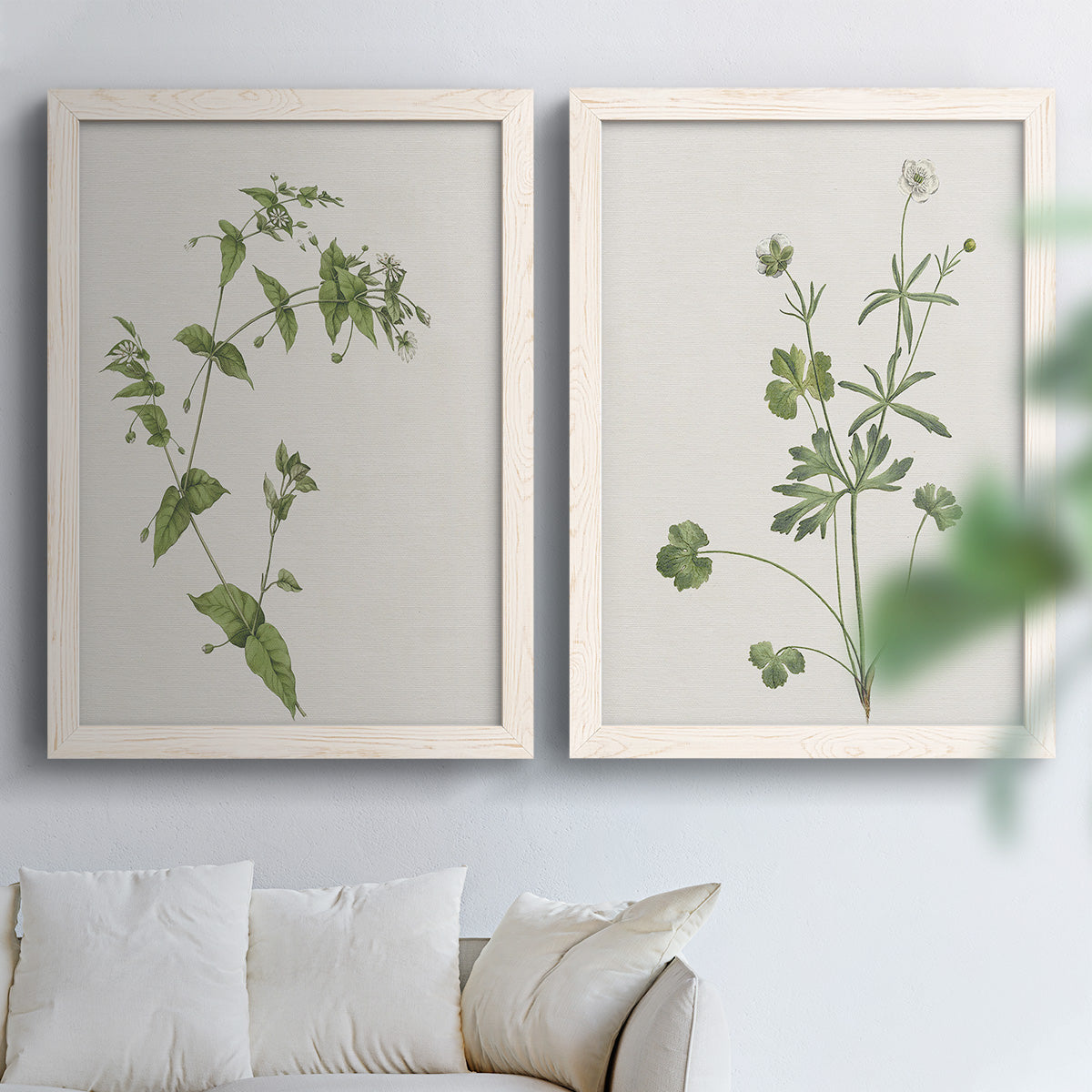 Set of two white barnwood framed canvas prints depicting fine green branches, sparse blue or white blossoms, and cream grounds arranged across two complementary compositions above a sofa in a bright living space.