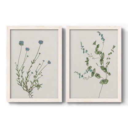 Set of two white barnwood framed canvas prints featuring two rustic minimalist botanical studies featuring delicate wildflower and leafy stems.