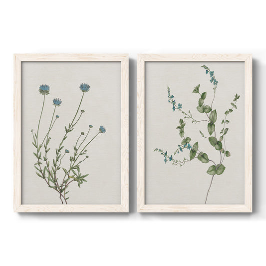 Set of two white barnwood framed canvas prints featuring two rustic minimalist botanical studies featuring delicate wildflower and leafy stems.