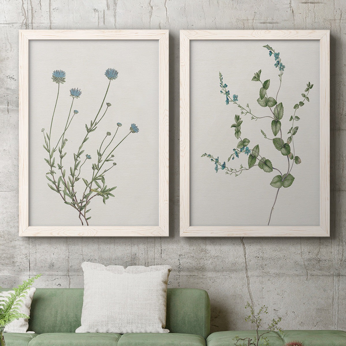 Set of two white barnwood framed canvas prints depicting a coordinated art pair of delicate wildflower and leafy stems rendered as rustic minimalist botanical studies above a sofa in a modern living room.
