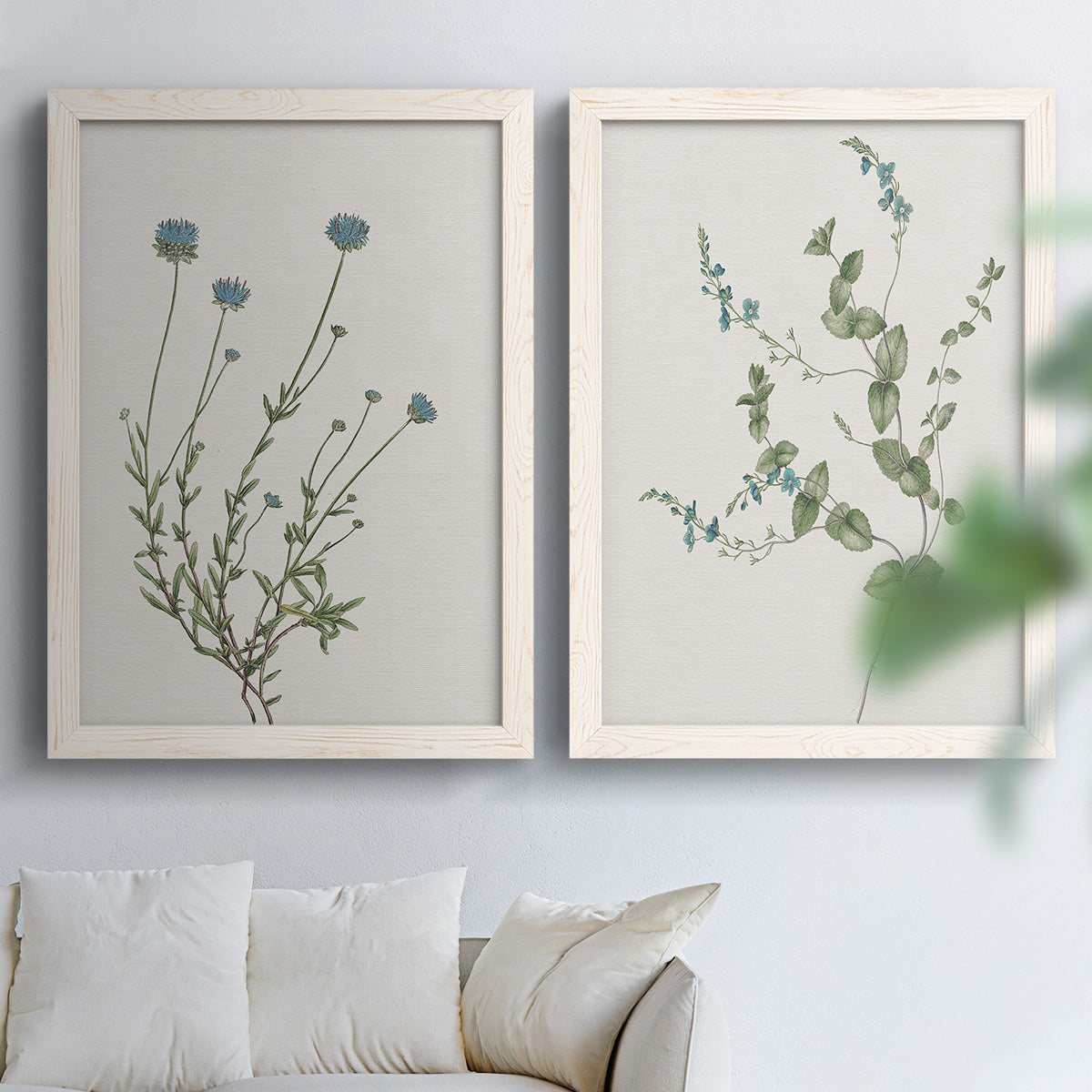 Set of two white barnwood framed canvas prints depicting fine green branches, sparse blue or white blossoms, and cream grounds arranged across two complementary compositions above a sofa in a bright living space.