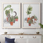 Set of two white barnwood framed canvas prints depicting a coordinated art pair of cats tucked among collections of potted houseplants rendered as whimsical botanical animal illustrations above a dining room sideboard.