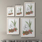 Size comparison chart for a set of two white barnwood framed canvas prints.