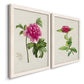 Angled view of a set of two white barnwood framed canvas prints featuring two vintage botanical plate illustrations featuring pink flowering plant specimens.