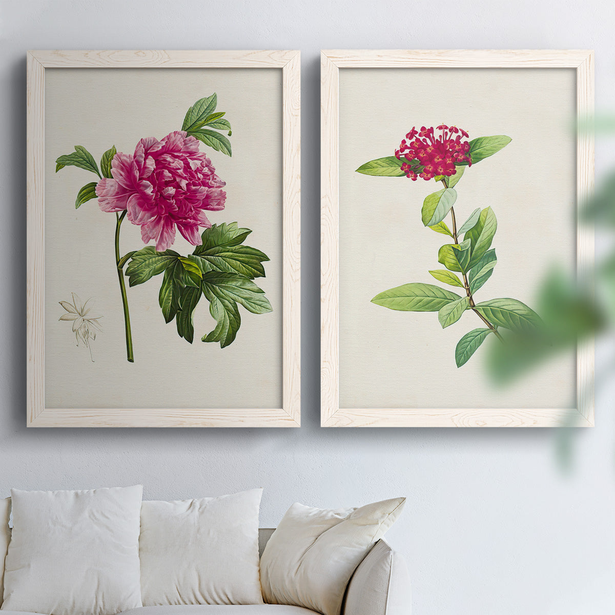 Set of two white barnwood framed canvas prints depicting peonies thistles leafy stems and archival cream paper arranged across two complementary compositions above a sofa in a bright living space.