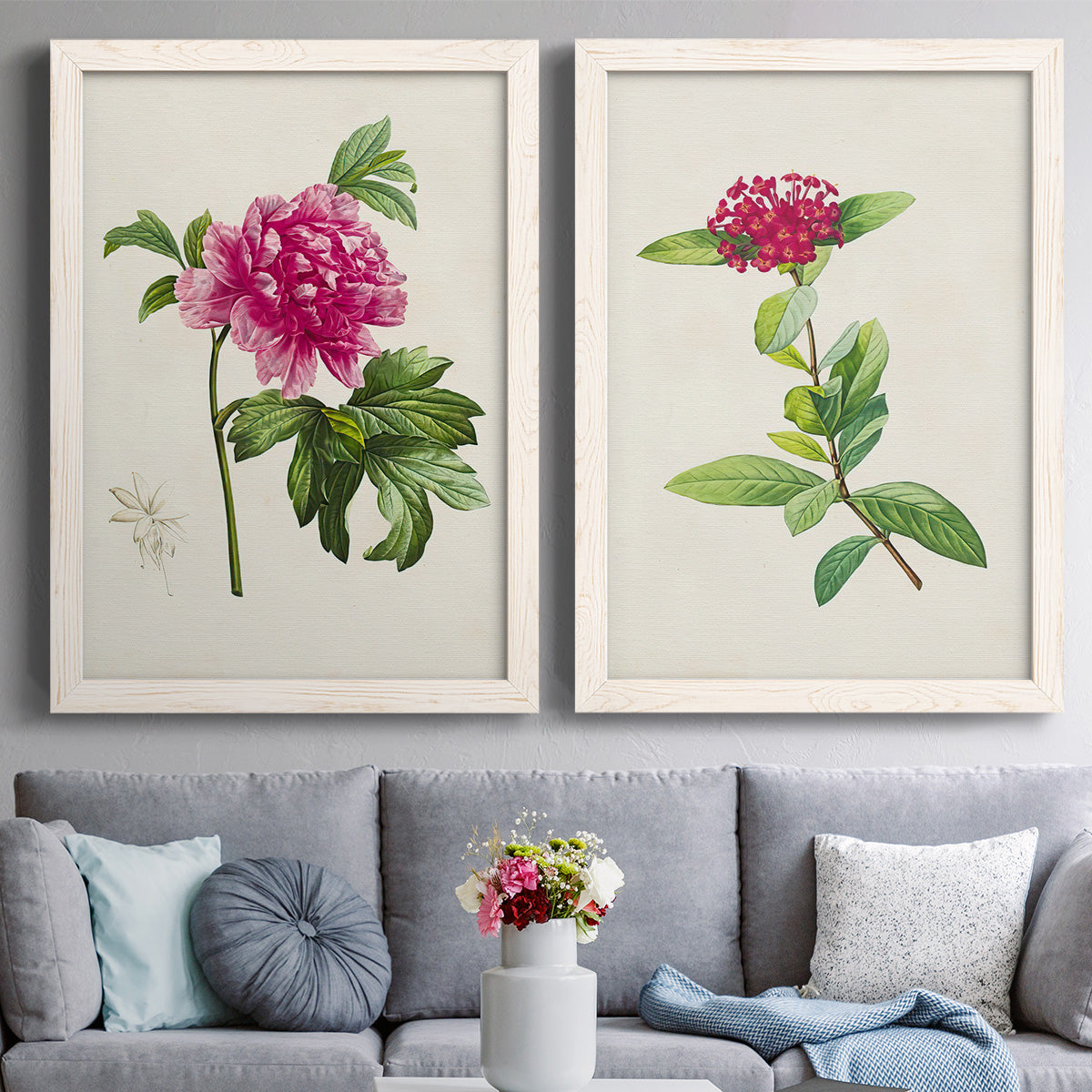 Set of two white barnwood framed canvas prints depicting paired vintage botanical plate illustrations with peonies thistles leafy stems and archival cream paper above a sofa in a contemporary living room.
