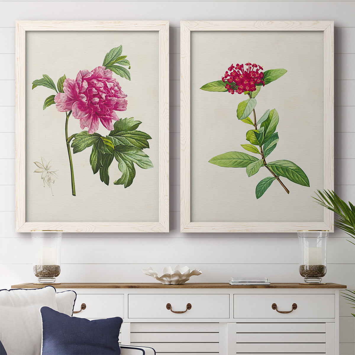 Set of two white barnwood framed canvas prints depicting a coordinated art pair of pink flowering plant specimens rendered as vintage botanical plate illustrations above a dining room sideboard.