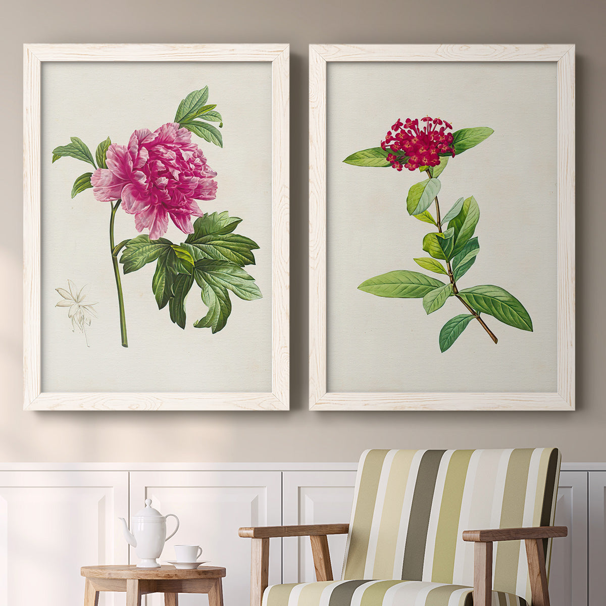 Set of two white barnwood framed canvas prints depicting two vintage botanical plate illustrations featuring pink flowering plant specimens above a sideboard in a cozy sitting room.