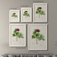 Size comparison chart for a set of two white barnwood framed canvas prints.