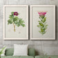 Set of two white barnwood framed canvas prints depicting a coordinated art pair of pink flowering plant specimens rendered as vintage botanical plate illustrations above a sofa in a modern living room.