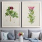 Set of two white barnwood framed canvas prints depicting paired vintage botanical plate illustrations with peonies thistles leafy stems and archival cream paper above a sofa in a contemporary living room.