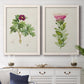 Set of two white barnwood framed canvas prints depicting a coordinated art pair of pink flowering plant specimens rendered as vintage botanical plate illustrations above a dining room sideboard.