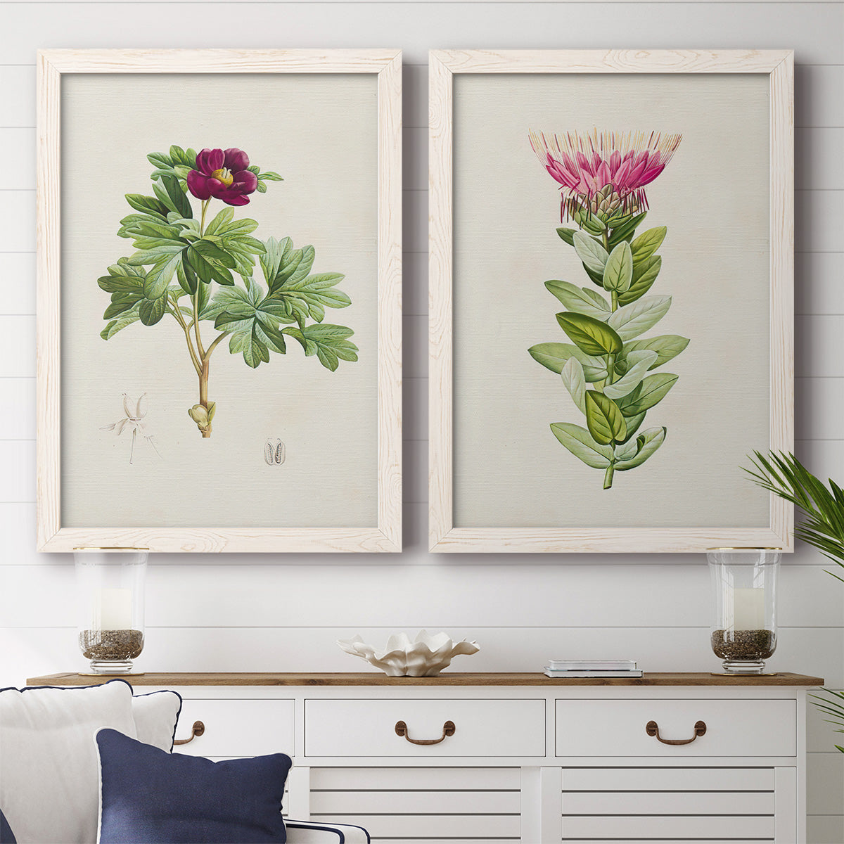 Set of two white barnwood framed canvas prints depicting a coordinated art pair of pink flowering plant specimens rendered as vintage botanical plate illustrations above a dining room sideboard.