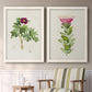 Set of two white barnwood framed canvas prints depicting two vintage botanical plate illustrations featuring pink flowering plant specimens above a sideboard in a cozy sitting room.