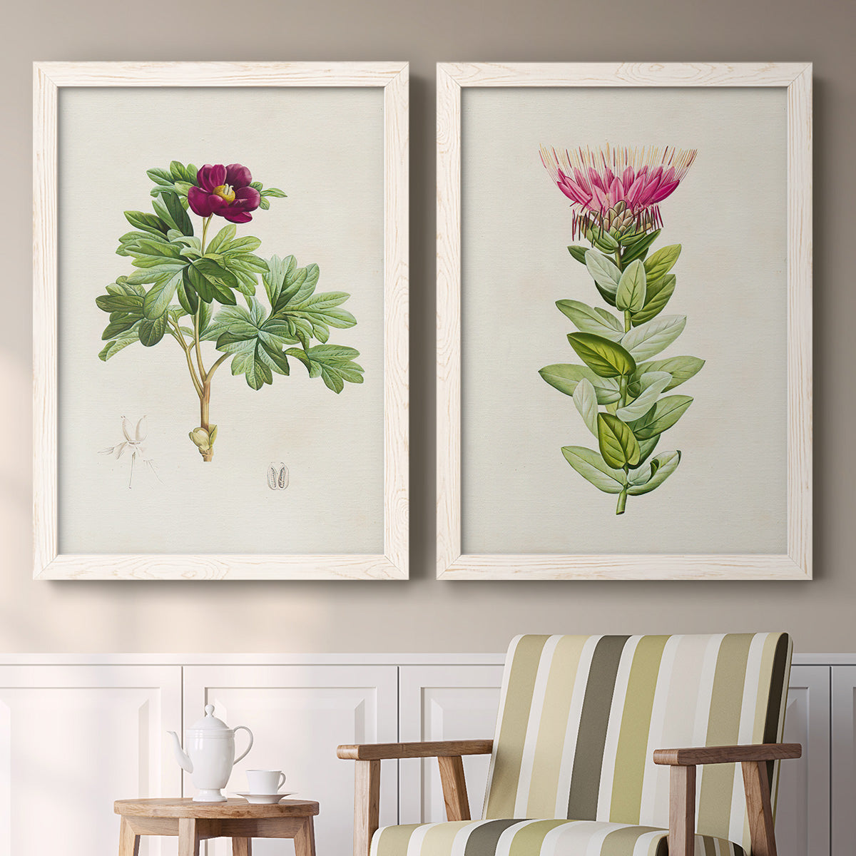Set of two white barnwood framed canvas prints depicting two vintage botanical plate illustrations featuring pink flowering plant specimens above a sideboard in a cozy sitting room.