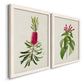 Angled view of a set of two white barnwood framed canvas prints featuring two vintage botanical plate illustrations featuring pink flowering plant specimens.