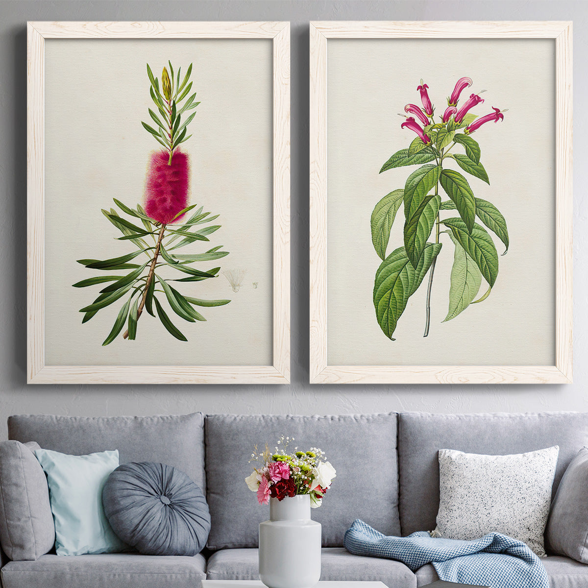 Set of two white barnwood framed canvas prints depicting paired vintage botanical plate illustrations with peonies thistles leafy stems and archival cream paper above a sofa in a contemporary living room.