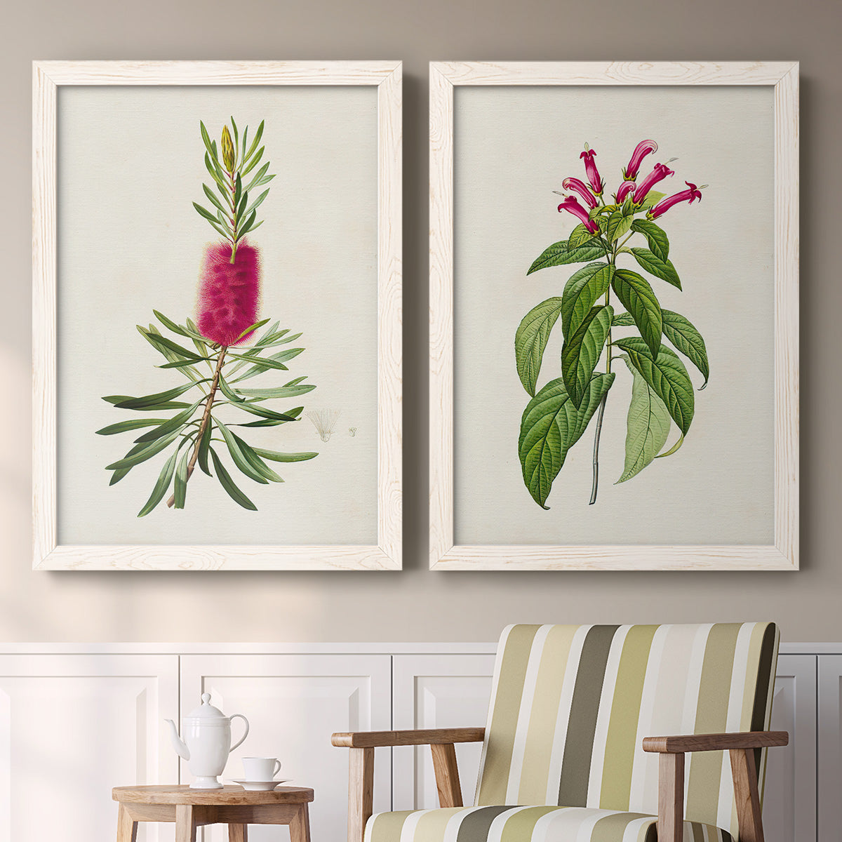 Set of two white barnwood framed canvas prints depicting two vintage botanical plate illustrations featuring pink flowering plant specimens above a sideboard in a cozy sitting room.