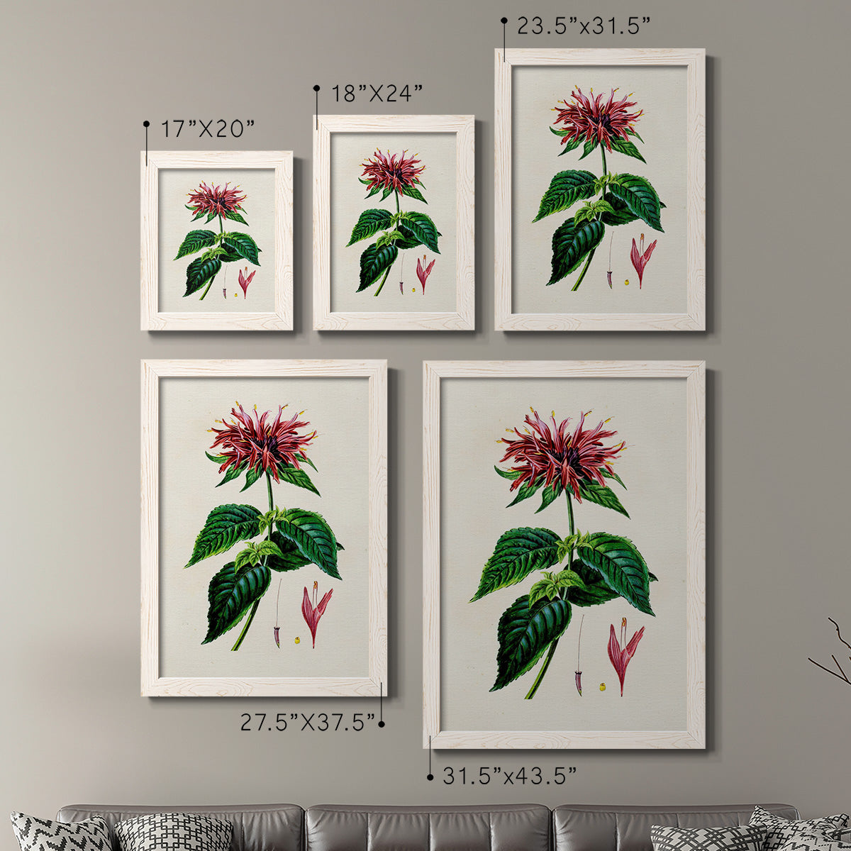 Size comparison chart for a set of two white barnwood framed canvas prints.
