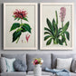 Set of two white barnwood framed canvas prints depicting paired antique botanical plate illustrations with detailed blossoms, leaves, roots, and archival cream grounds above a sofa in a contemporary living room.