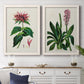 Set of two white barnwood framed canvas prints depicting a coordinated art pair of colorful flowering plant specimens rendered as antique botanical plate illustrations above a dining room sideboard.