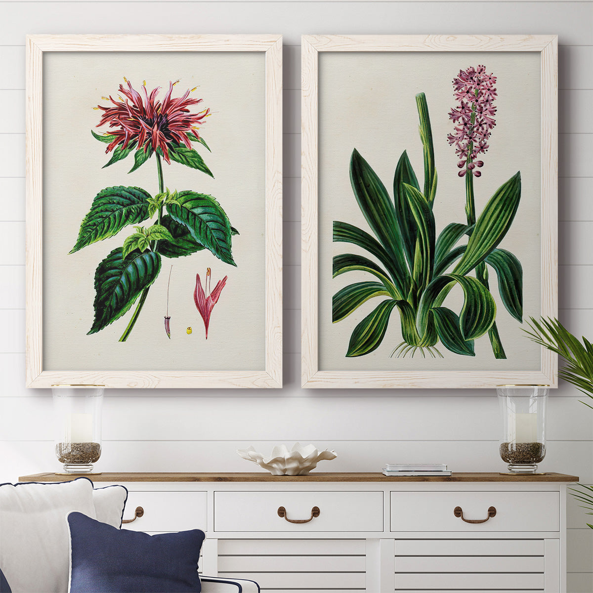 Set of two white barnwood framed canvas prints depicting a coordinated art pair of colorful flowering plant specimens rendered as antique botanical plate illustrations above a dining room sideboard.