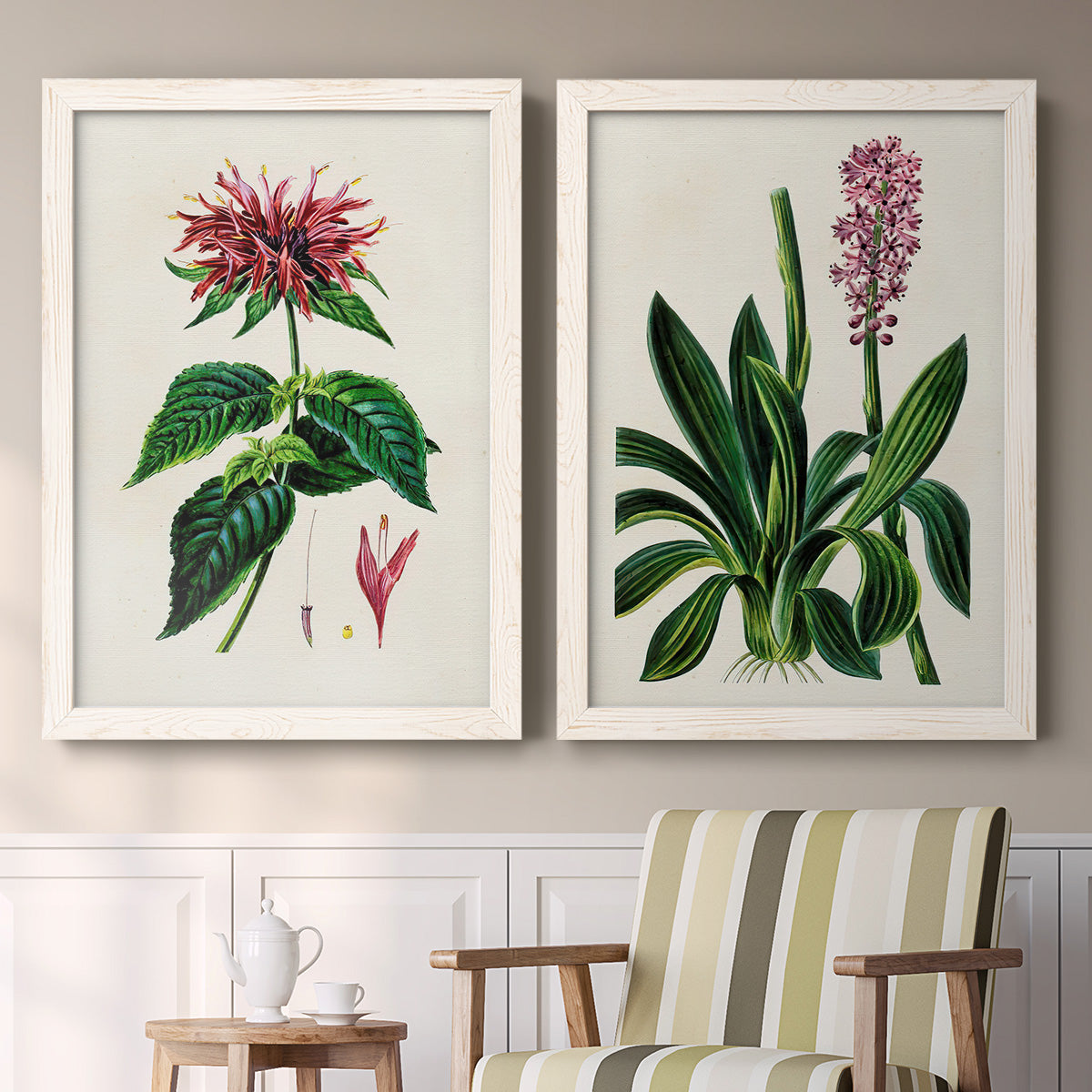 Set of two white barnwood framed canvas prints depicting two antique botanical plate illustrations featuring colorful flowering plant specimens above a sideboard in a cozy sitting room.