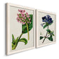 Angled view of a set of two white barnwood framed canvas prints featuring two antique botanical plate illustrations featuring colorful flowering plant specimens.