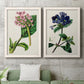 Set of two white barnwood framed canvas prints depicting a coordinated art pair of colorful flowering plant specimens rendered as antique botanical plate illustrations above a sofa in a modern living room.