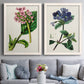 Set of two white barnwood framed canvas prints depicting paired antique botanical plate illustrations with detailed blossoms, leaves, roots, and archival cream grounds above a sofa in a contemporary living room.