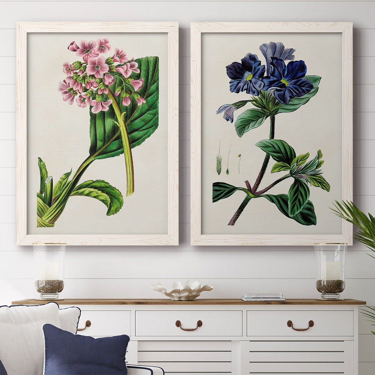 Set of two white barnwood framed canvas prints depicting a coordinated art pair of colorful flowering plant specimens rendered as antique botanical plate illustrations above a dining room sideboard.