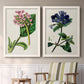 Set of two white barnwood framed canvas prints depicting two antique botanical plate illustrations featuring colorful flowering plant specimens above a sideboard in a cozy sitting room.