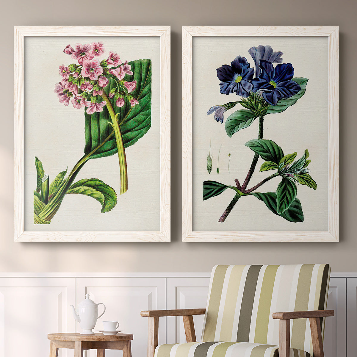 Set of two white barnwood framed canvas prints depicting two antique botanical plate illustrations featuring colorful flowering plant specimens above a sideboard in a cozy sitting room.