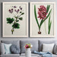 Set of two white barnwood framed canvas prints depicting paired antique botanical plate illustrations with detailed blossoms, leaves, roots, and archival cream grounds above a sofa in a contemporary living room.