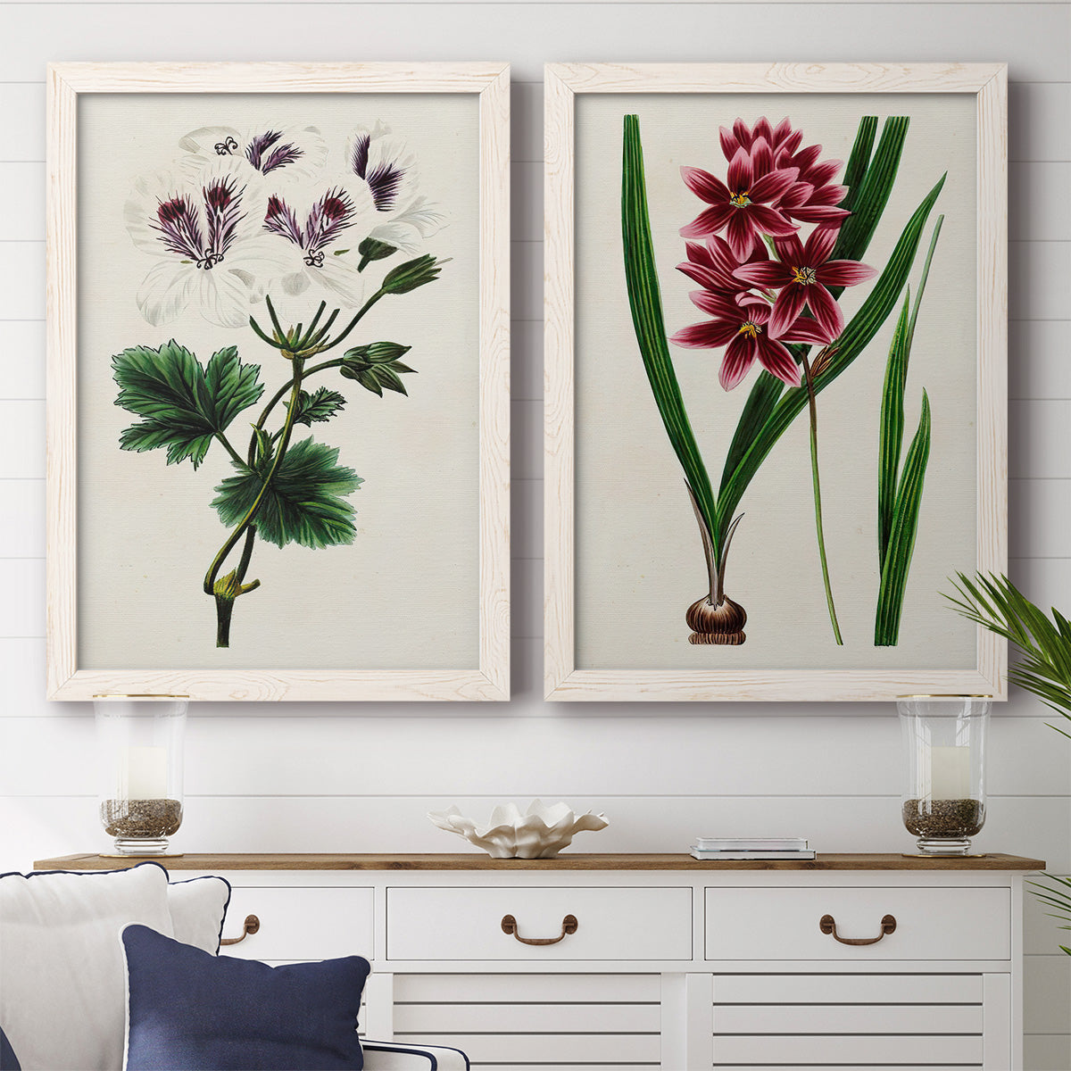 Set of two white barnwood framed canvas prints depicting a coordinated art pair of colorful flowering plant specimens rendered as antique botanical plate illustrations above a dining room sideboard.