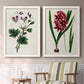 Set of two white barnwood framed canvas prints depicting two antique botanical plate illustrations featuring colorful flowering plant specimens above a sideboard in a cozy sitting room.
