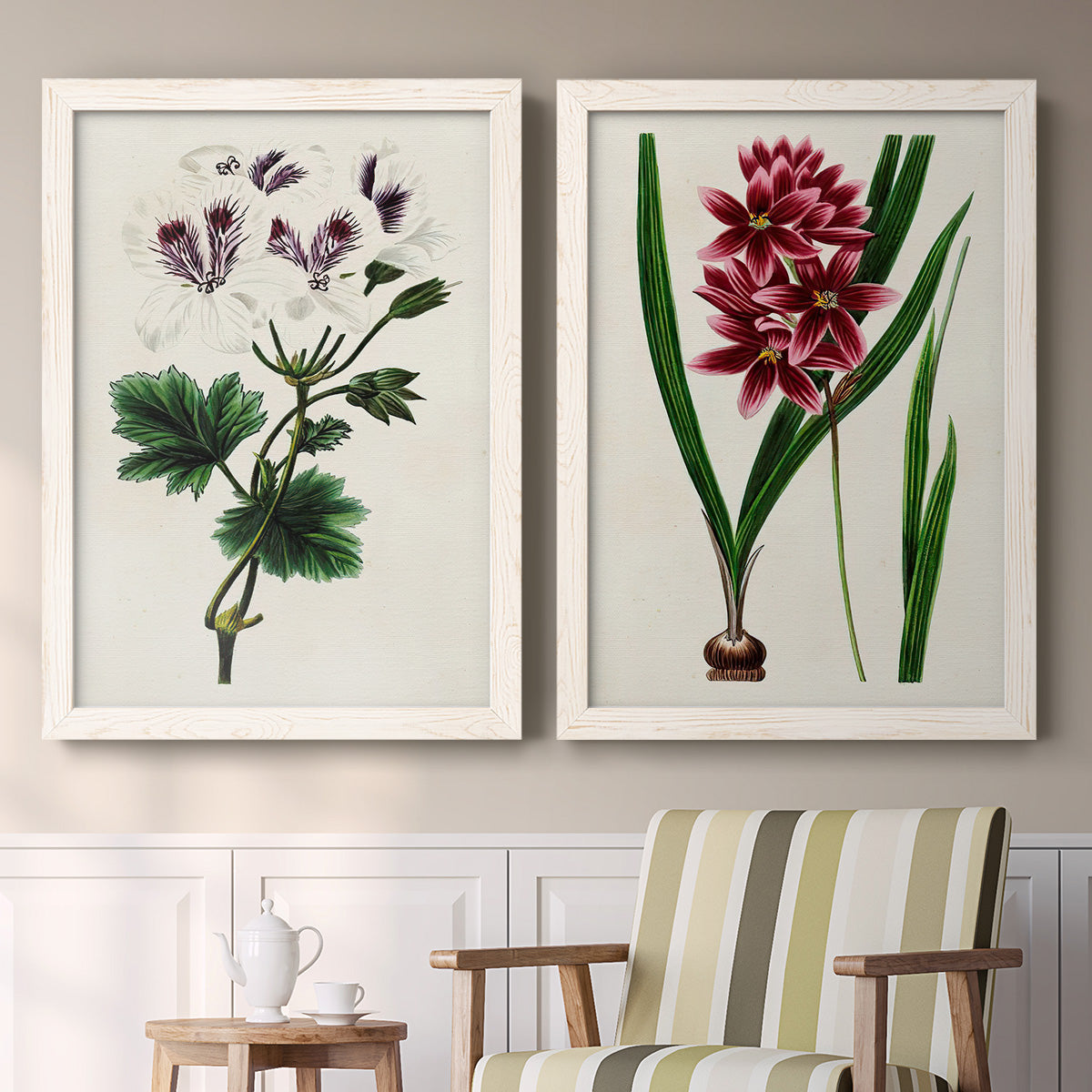 Set of two white barnwood framed canvas prints depicting two antique botanical plate illustrations featuring colorful flowering plant specimens above a sideboard in a cozy sitting room.