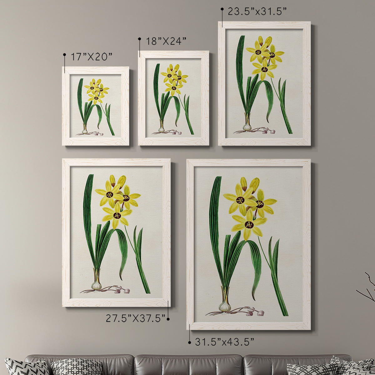 Size comparison chart for a set of two white barnwood framed canvas prints.