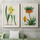 Set of two white barnwood framed canvas prints depicting a coordinated art pair of colorful flowering plant specimens rendered as antique botanical plate illustrations above a sofa in a modern living room.