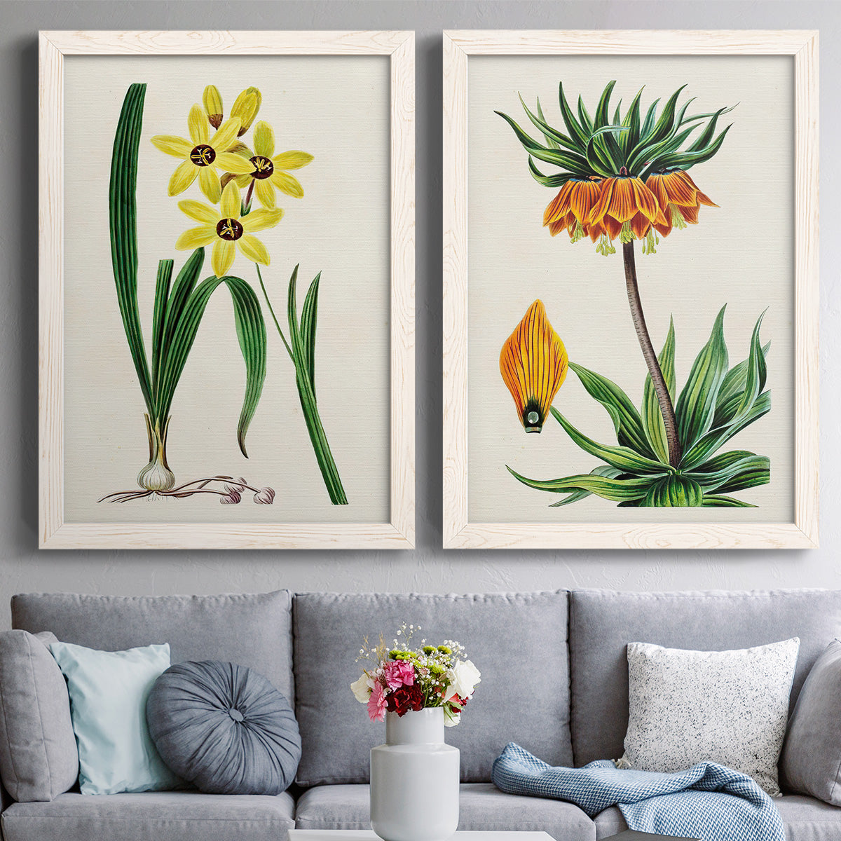 Set of two white barnwood framed canvas prints depicting paired antique botanical plate illustrations with detailed blossoms, leaves, roots, and archival cream grounds above a sofa in a contemporary living room.