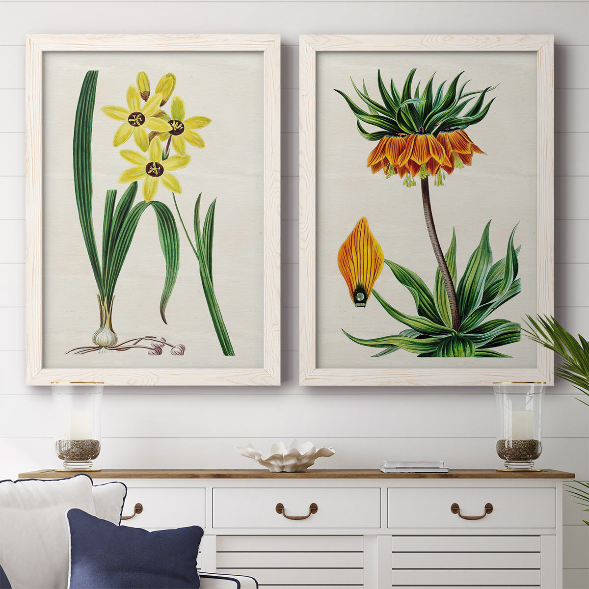 Set of two white barnwood framed canvas prints depicting a coordinated art pair of colorful flowering plant specimens rendered as antique botanical plate illustrations above a dining room sideboard.