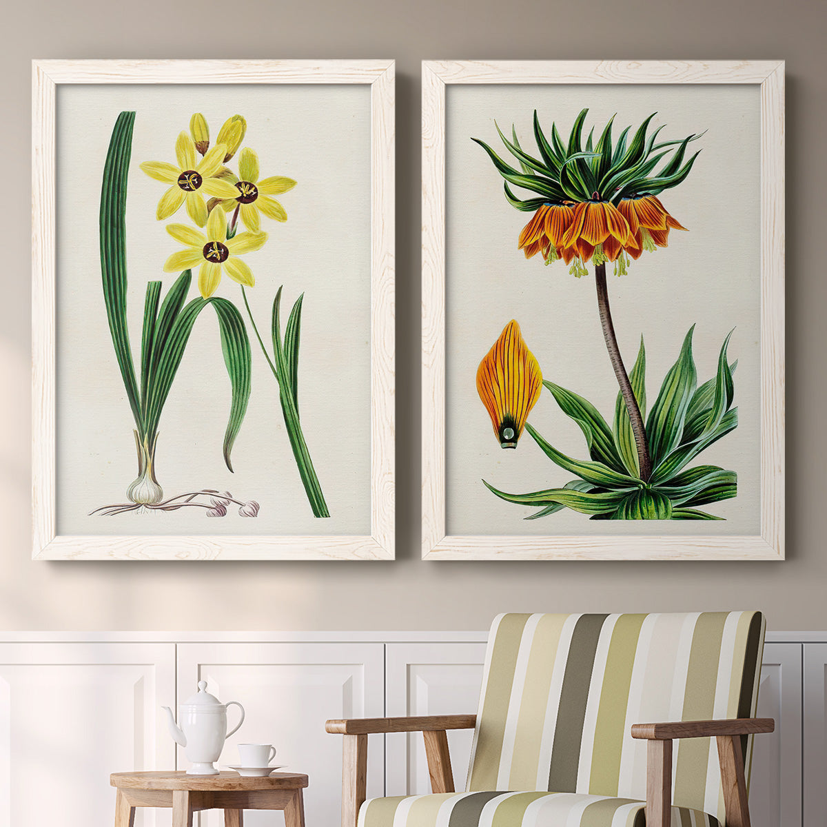 Set of two white barnwood framed canvas prints depicting two antique botanical plate illustrations featuring colorful flowering plant specimens above a sideboard in a cozy sitting room.