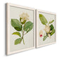 Angled view of a set of two white barnwood framed canvas prints featuring two traditional botanical paintings featuring white magnolia blossoms and glossy green leaves.