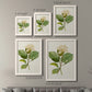 Size comparison chart for a set of two white barnwood framed canvas prints.