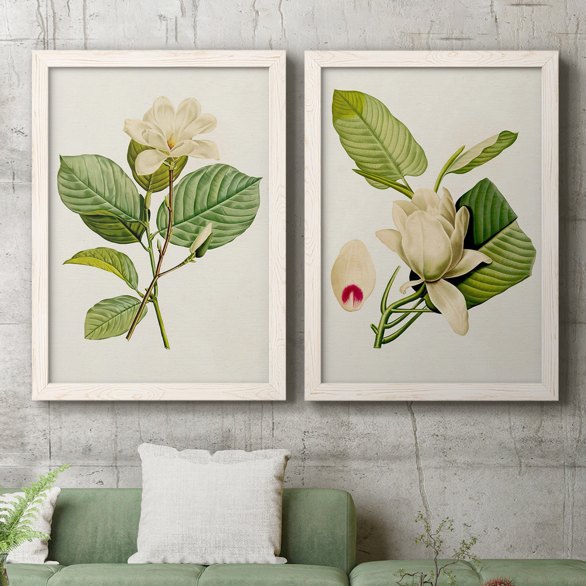 Set of two white barnwood framed canvas prints depicting a coordinated art pair of white magnolia blossoms and glossy green leaves rendered as traditional botanical paintings above a sofa in a modern living room.